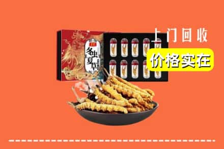 大柴旦县回收冬虫夏草