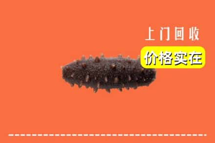 大柴旦县回收海参