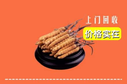 诚信求购:大柴旦县高价回收冬虫夏草